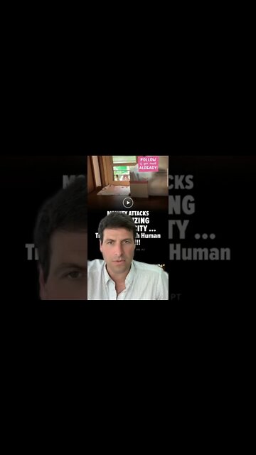 Monkeys Terrorize Japan, Stealing Children for Food 😳#dailynewsupdate