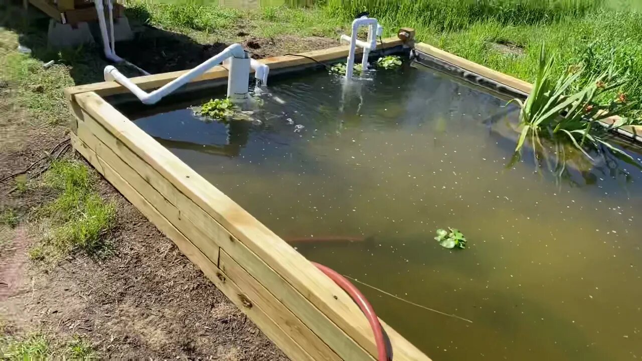 Upgrade to the new Pond / Aquaponics System