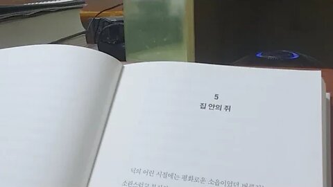 필립k 딕, 집안의 쥐, 버클리, 샌프란시스코, 농촌공동체, 이사, 해안공원, 카페테리아, 예수그리스도,행성
