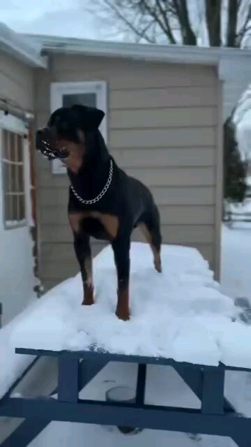 Jack Doneyuno Almost A Year .