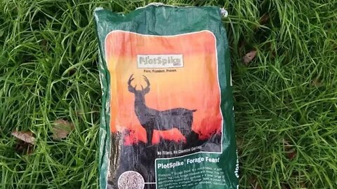 PLOTSPIKE FORAGE FEAST - cheap food plot for deer