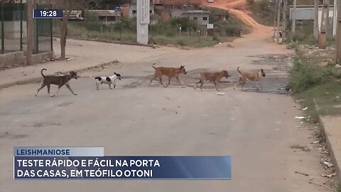 Leishmaniose: Teste rápido e fácil na porta das casas, em Teófilo Otoni.