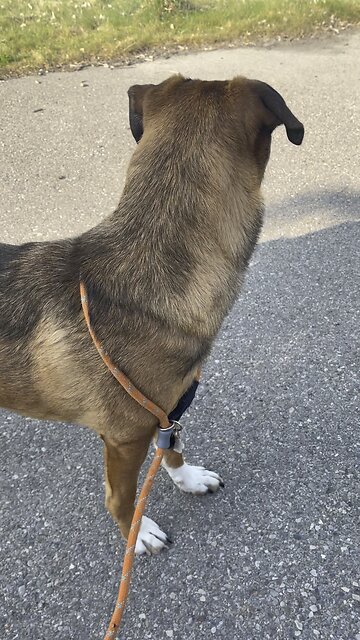 It's a BEAUTIFUL day in YYC