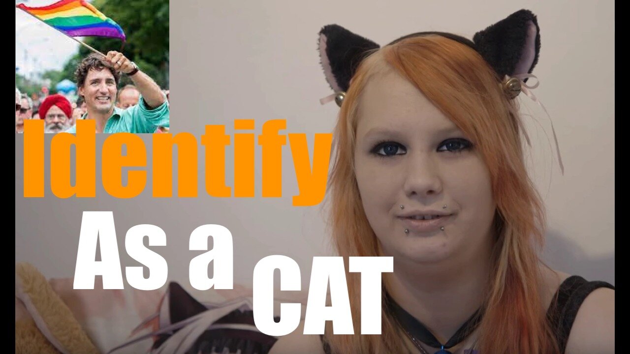 Middle Schoolers in Canada Identify as Cats -- does anyone remember THAT Growing Up?