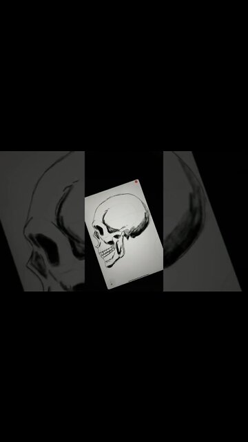 How to draw Human Skull on iPad? - Daily Art nr.138🖌️