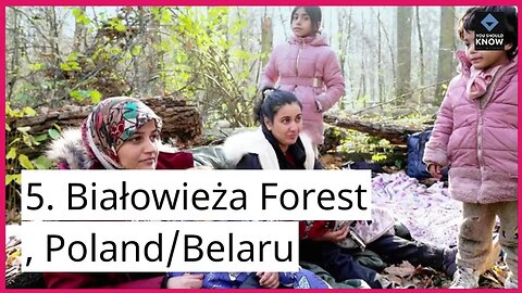 Top 10 Marvelous National Parks for Wildlife Enthusiasts