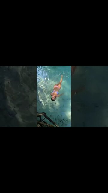 Beautiful remote pool in the rain forest do the Dominican Republic