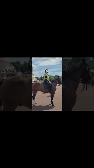 part 2 police women on horseback grabs tourist bt rucksack #buckinghampalace