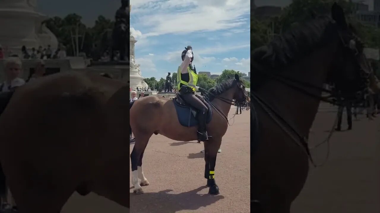 part 2 police women on horseback grabs tourist bt rucksack #buckinghampalace