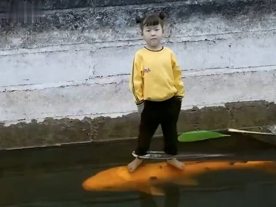 quite high rank ability