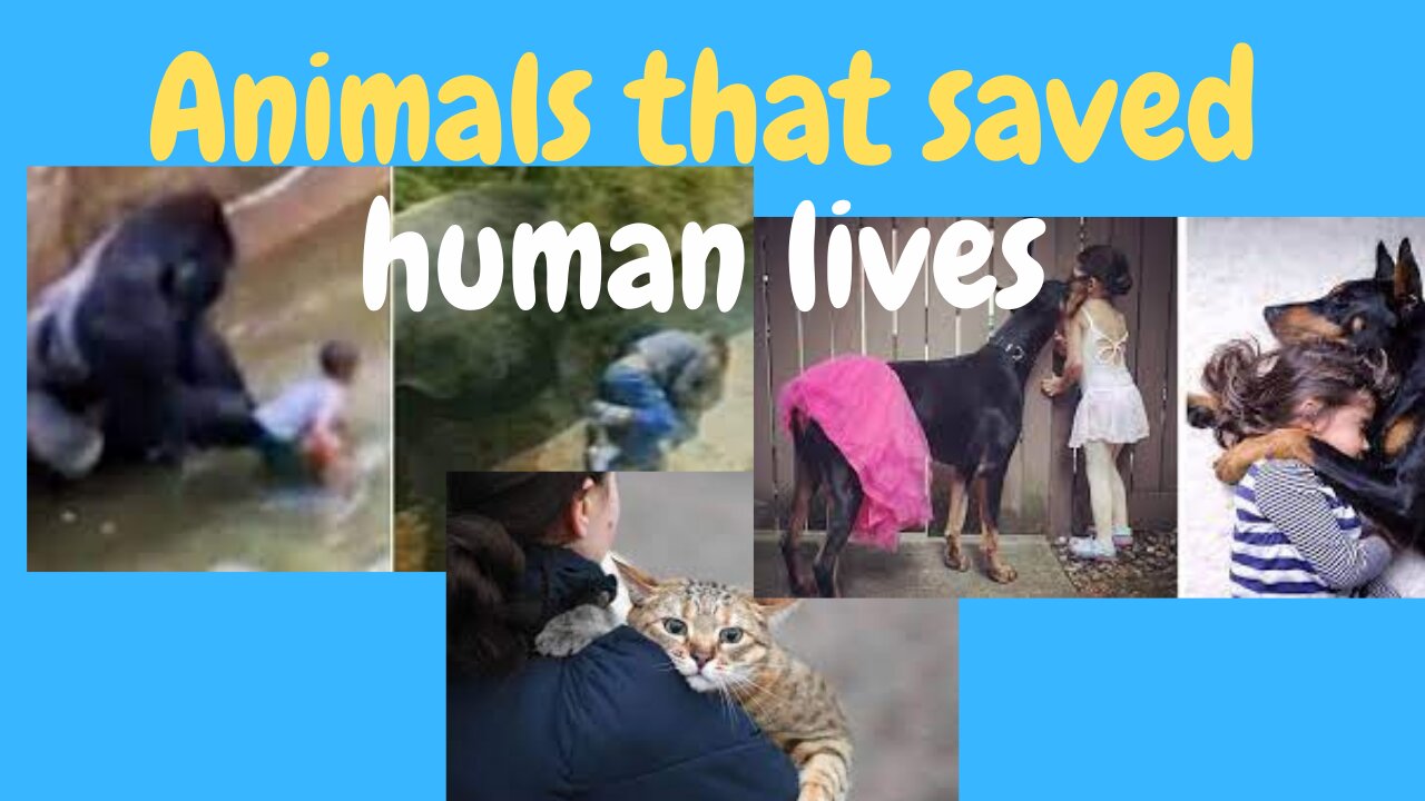 Animals that saved Human lives