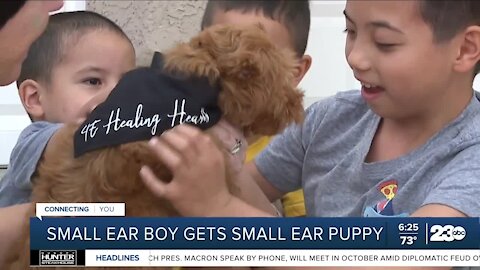 Las Vegas boy adopts puppy named Nemo who shares his 'small ear'