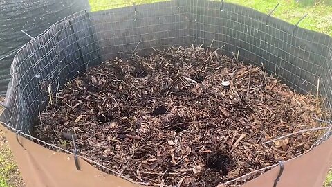 Bioreactor Progress on Day 22 