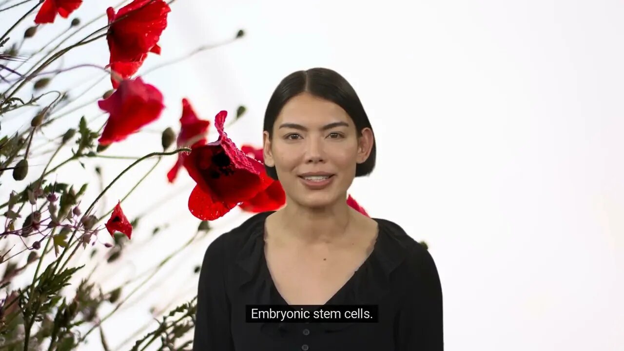 STEM CELLS as SOLUTION FOR AGING? | Let's introduce you to the stem cells world | regeneration