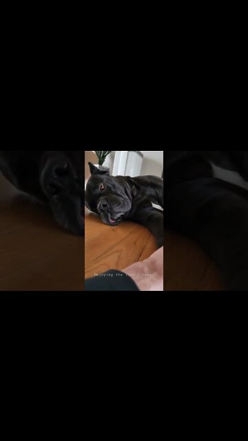 Enjoying the love I have