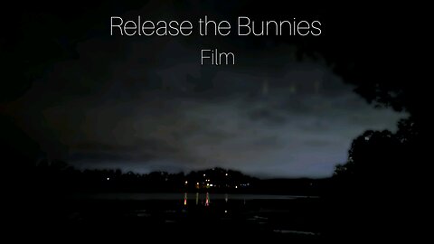 The Bullets have to Land Somewhere FULL FILM - Release the Bunnies Film