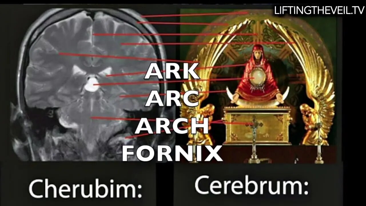 Symbols of Power 2.1: Vault of Heaven, Ark of the Covenant, & Human Brain- Lifting The Veil