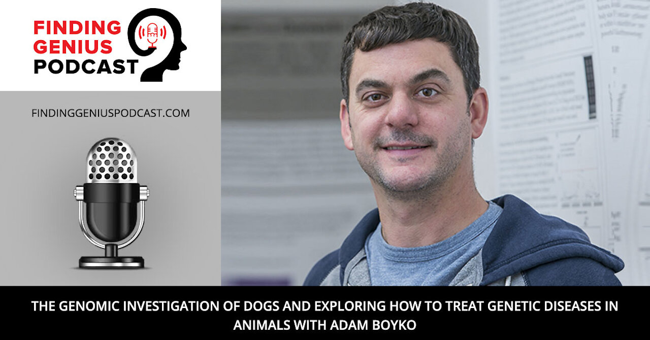 The Genomic Investigation of Dogs and Exploring how to Treat Genetic Diseases in Animals