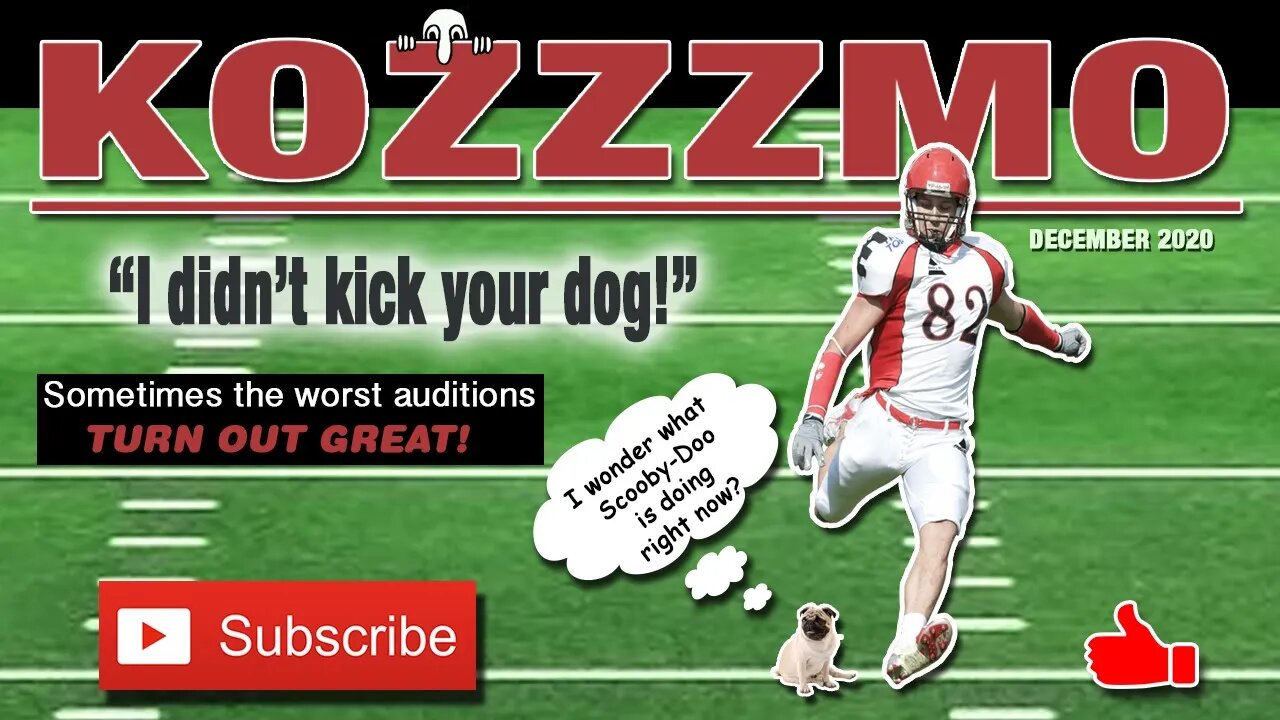 Kozzzmo Didn't Kick Your Dog!