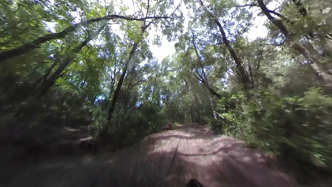 Croom OHV Brooksville Florida 8/8/21 Pine Lot to Sand Hill and back uncut no edits