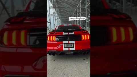 Mustang cold start 😈😈 #onepercent_clubb #mustang