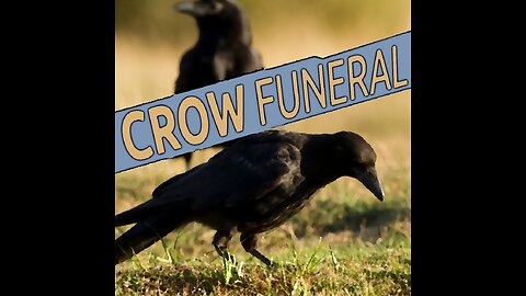CROW FUNERAL