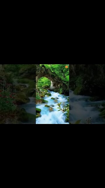 Natural Sound Of Water #Livesty #ytshorts #Luxury #Nature #viral #viral2022 #trending #trending2022