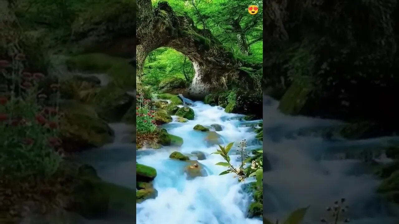 Natural Sound Of Water #Livesty #ytshorts #Luxury #Nature #viral #viral2022 #trending #trending2022
