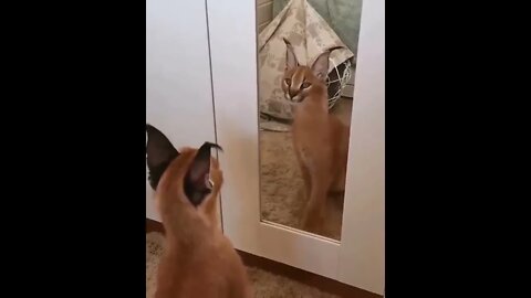 It's always good to check 👀 & double check 👀👀! 😊To make sure that everything is working properly 😎😸😂