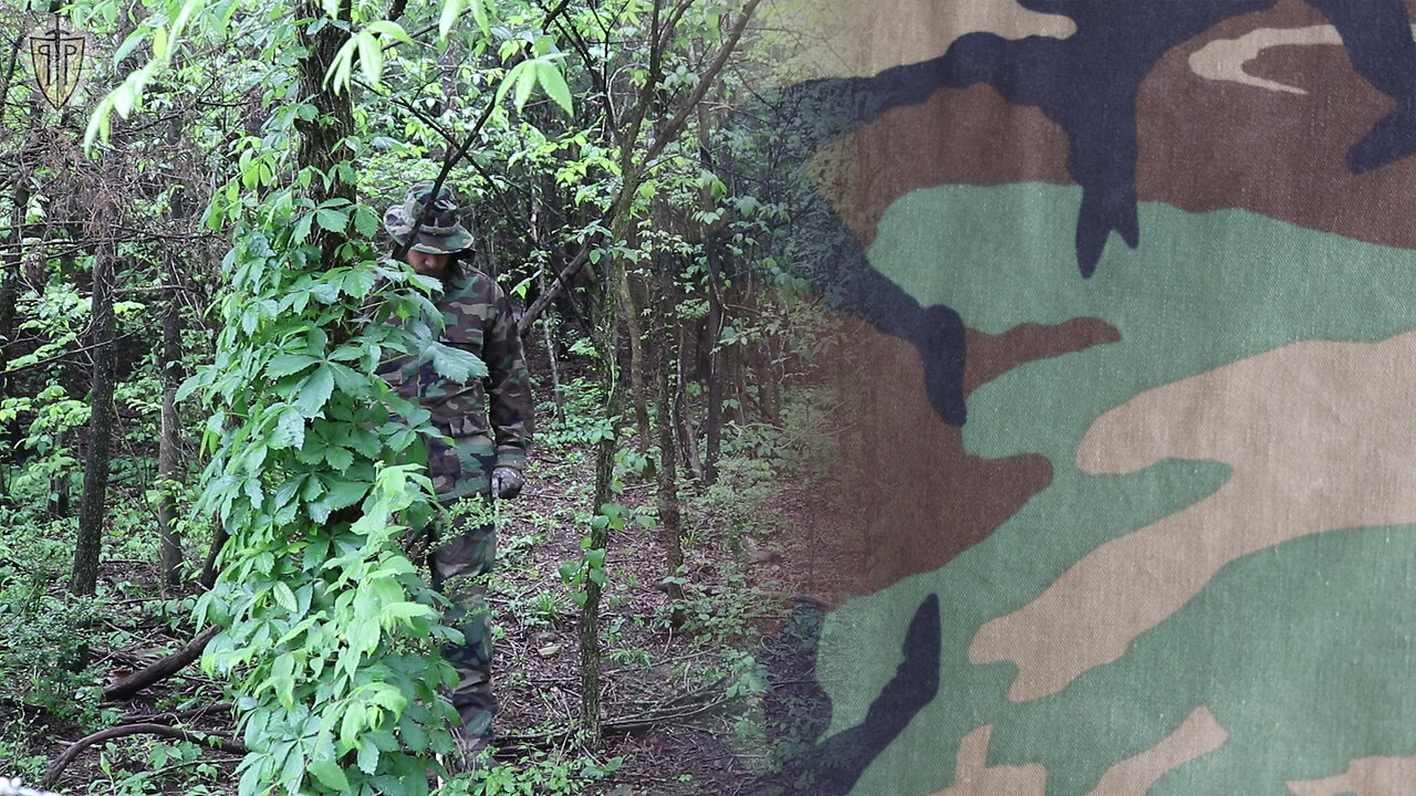 TPP CT01 M81 Woodland Camo Test: Inner Woods, Spring, No Direct Light