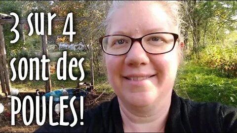 15 POULES et 5 COQS sur 20 ! 🐓 JACKPOT! #VLOG #181