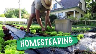 Homesteading - #SolutionsWatch