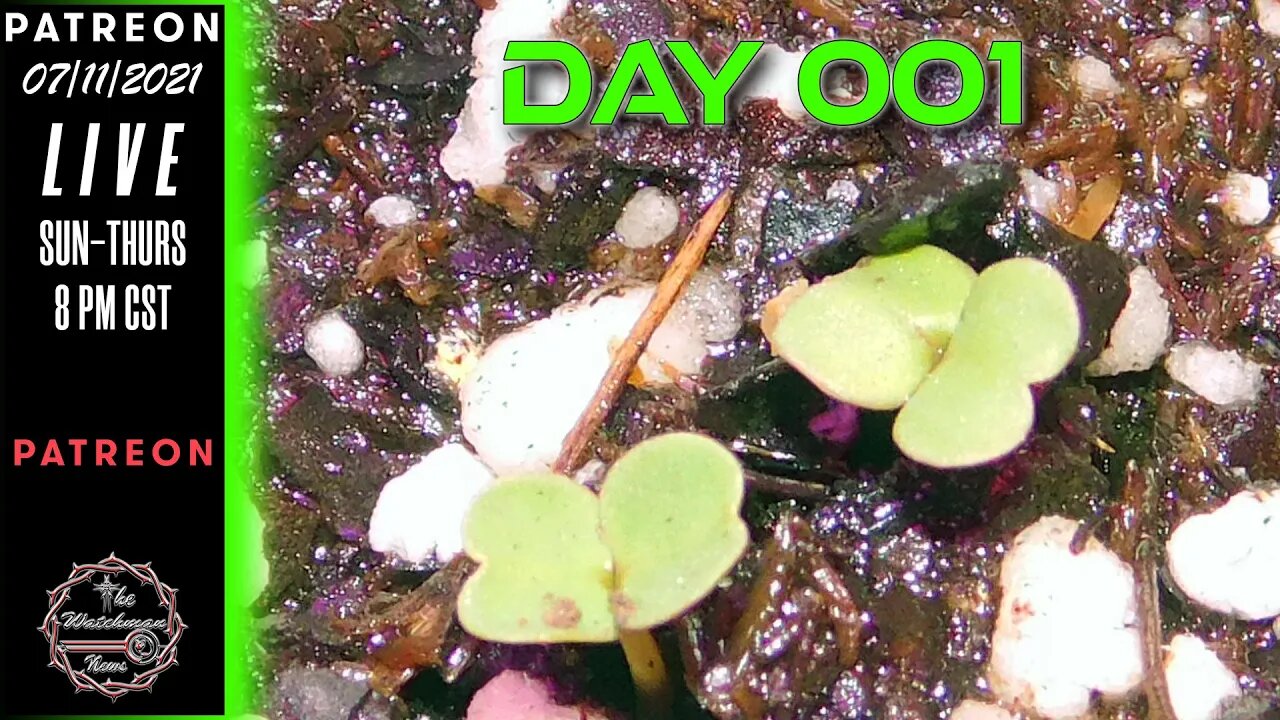 The Watchman News - Day 001 Daily VLOG - Apartment Size Indoor Economic Hybrid Hydroponic Gardening
