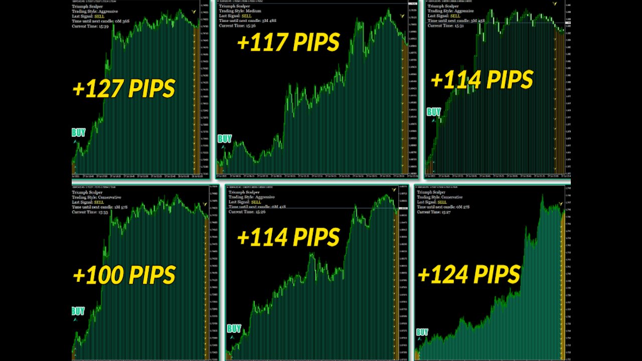 Forex Trading Scalping LIVE Non-stop Winner with Triumph Scalper -- Free Forex For You eBook