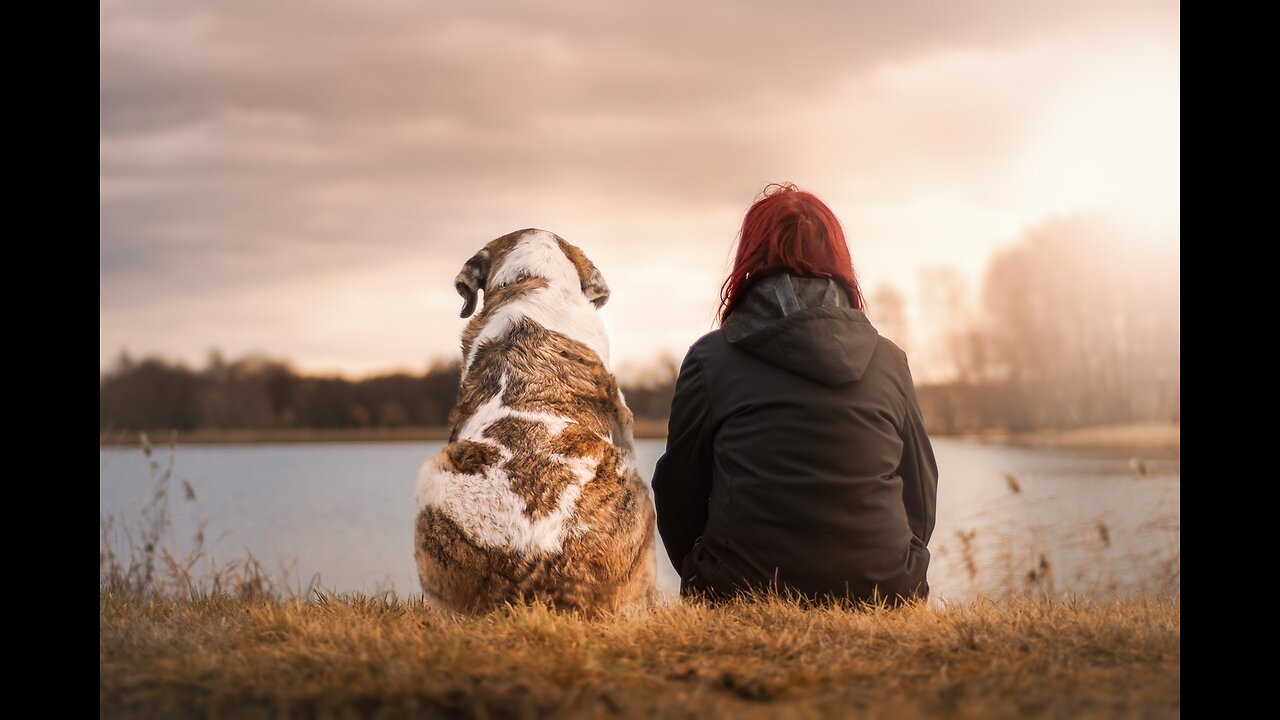 Lovely Song For Your Late Dog🐕 ||