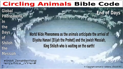 Circling Animals Anticipate Elijah the Prophet & Messiah Shiloh By: #Shiloh_ZemahBenYishai