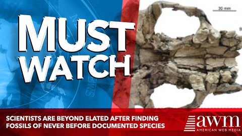 Scientists Are Beyond Elated After Finding Fossils Of Never Before Documented Species