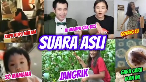 Sound Asli Lu mampu gk bos, Jangkrik | Akhirnya bisa tidur nyenyak