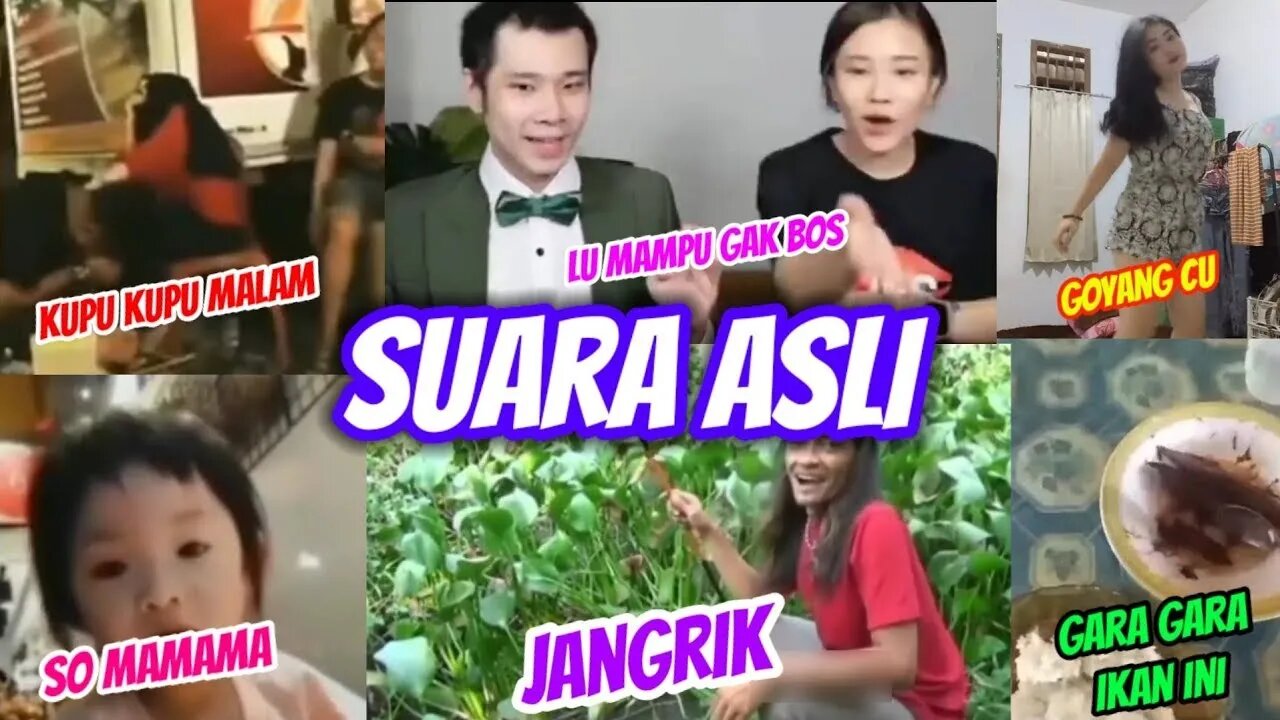 Sound Asli Lu mampu gk bos, Jangkrik | Akhirnya bisa tidur nyenyak