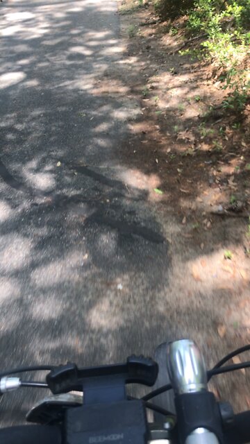 Waccamaw Neck Bikeway