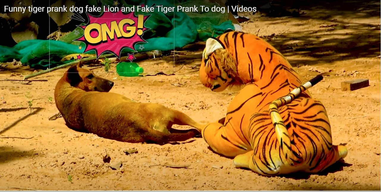 Funny tiger prank dog fake Lion and Fake Tiger Prank To dog #funnydog #funnydogvideo #funnyanimal