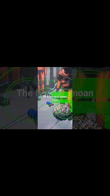 The famous moan horn