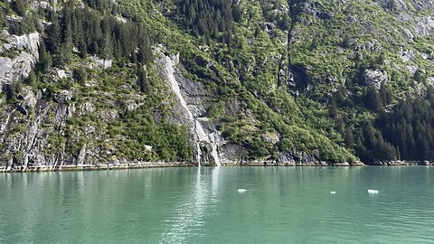 Tracy Arm Fordj, Alaska