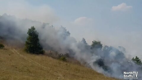 Fire on Florence Country Park (13-08-2022)