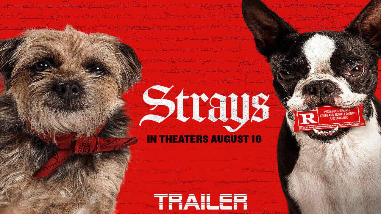 STRAYS - OFFICIAL TRAILER - 2023