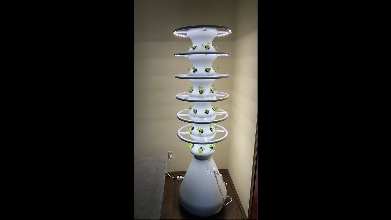 Setting up our Indoor Grow Tower| LETTUCE GROW Farm Stand