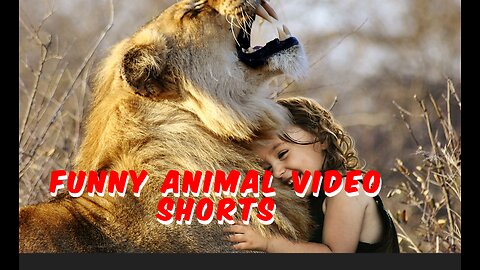 Unlikely friendship shorts