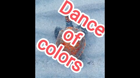 Dance of colors in nature #educational #nature #magic