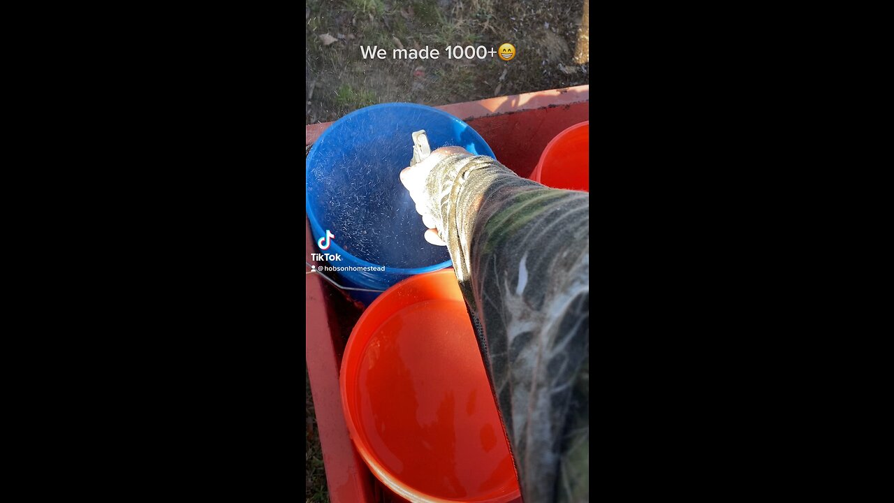 We made 1000 followers