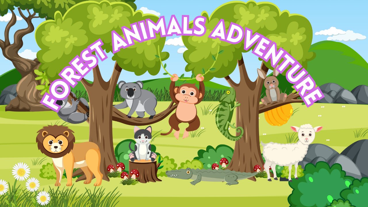 Forest Animal Adventure